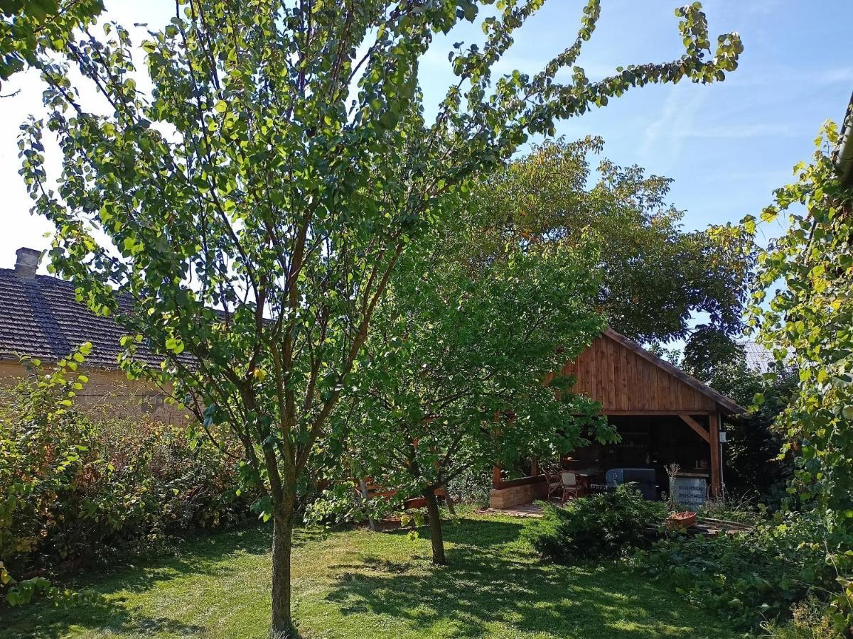 Bohemica 3 *